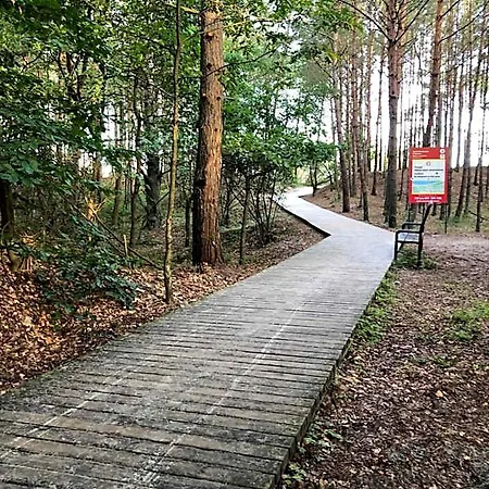 Na Marynarskiej Orman Evi